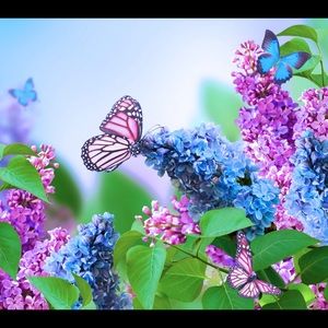 Have a wonderful day 💕🌷🥰